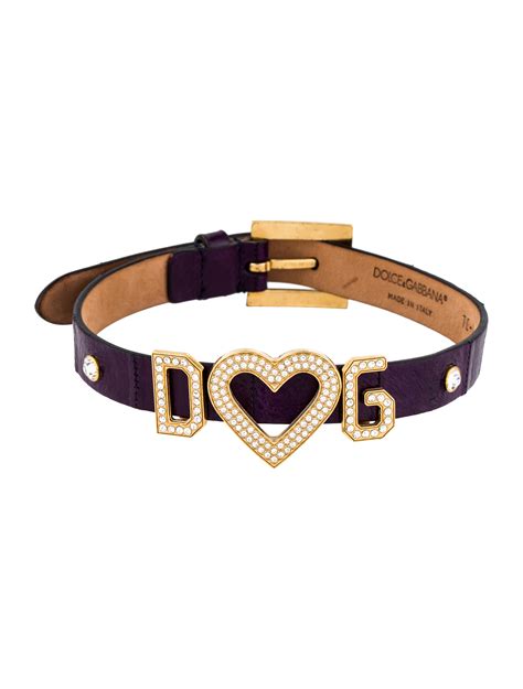 dolce and gabbana dog collar